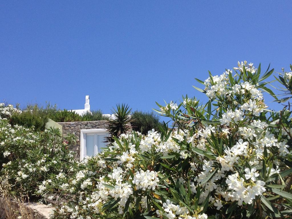 Mykonos Love Nest Ano Mera Oda fotoğraf